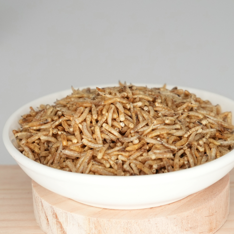 烘干蝇蛆（五谷虫）