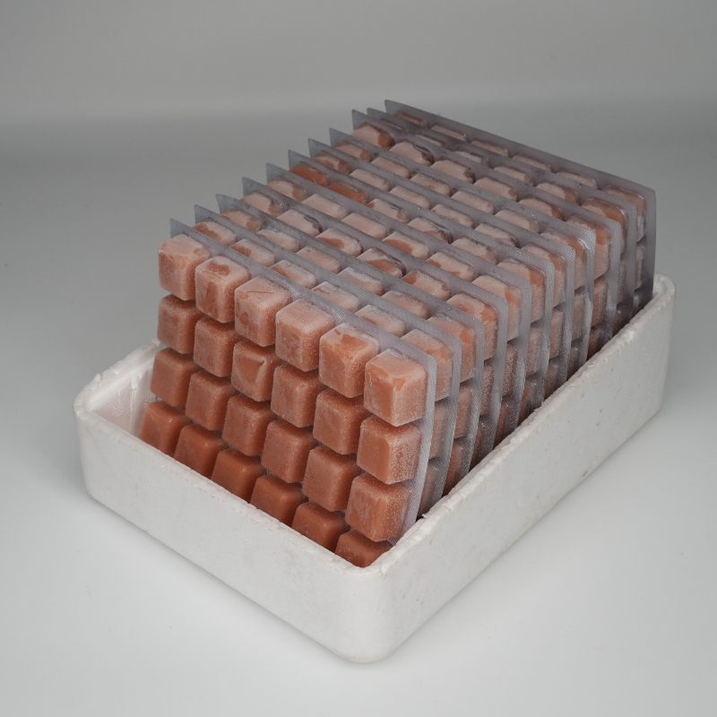 100克冷冻丰年虾卤幼