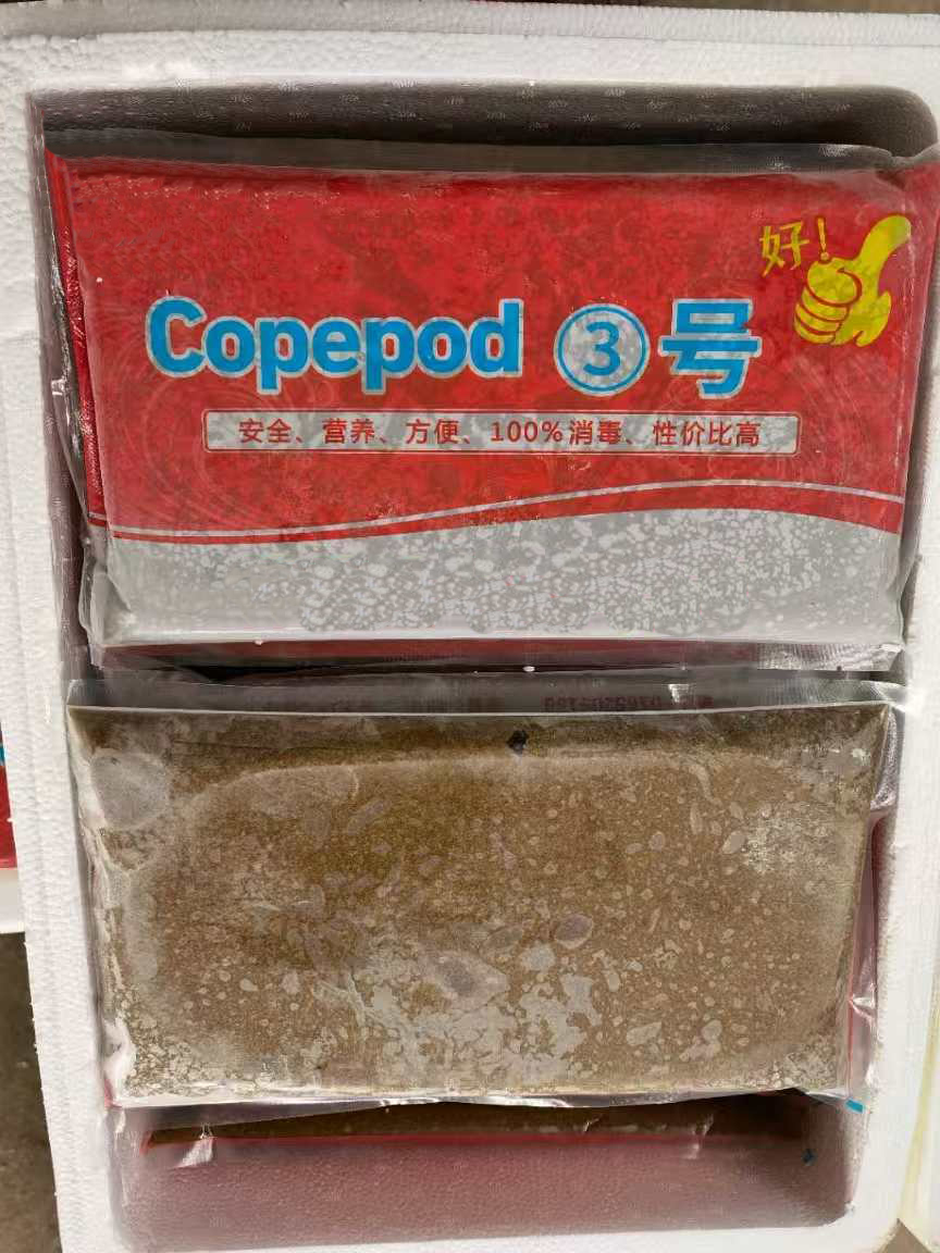 1kg冷冻桡足类（3号）