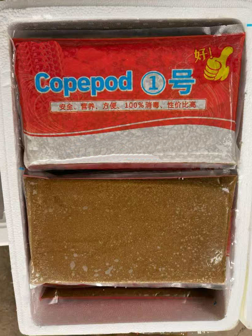 1kg冷冻桡足类（1号）